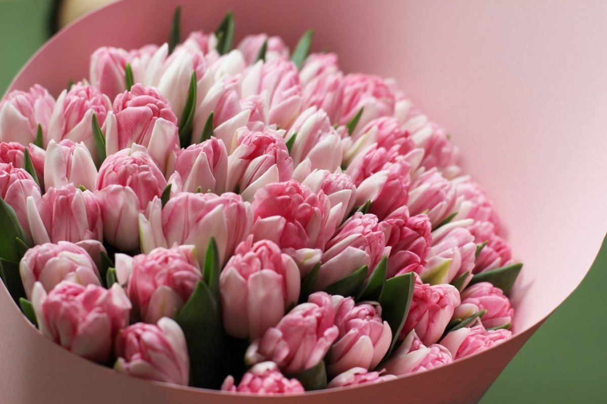 Шикарный букет из тюльпанов