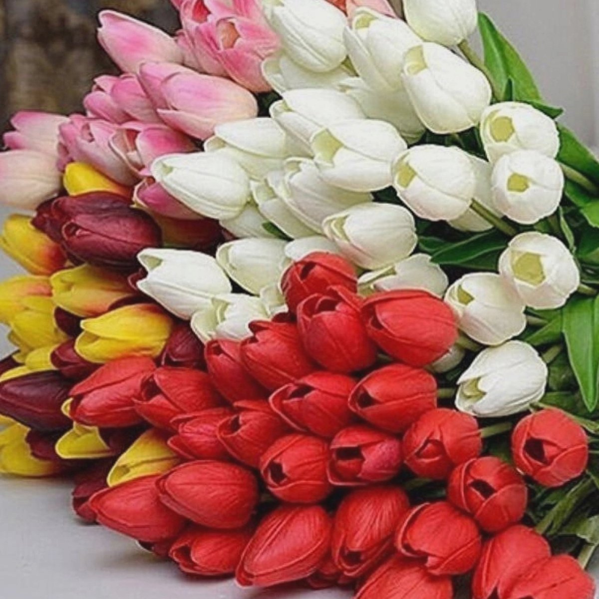 Букет тюльпанов