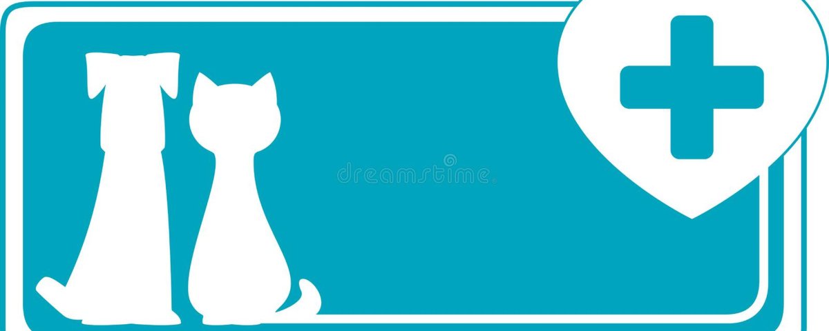 Таблички для ветклиники