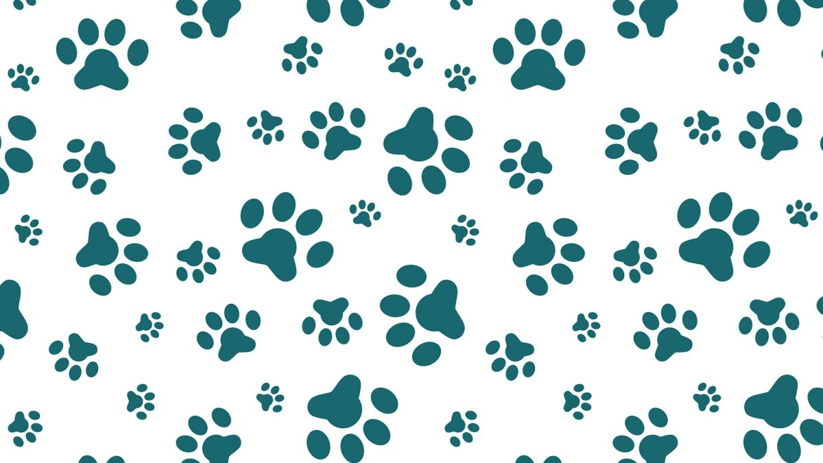 Фон для презентации собаки