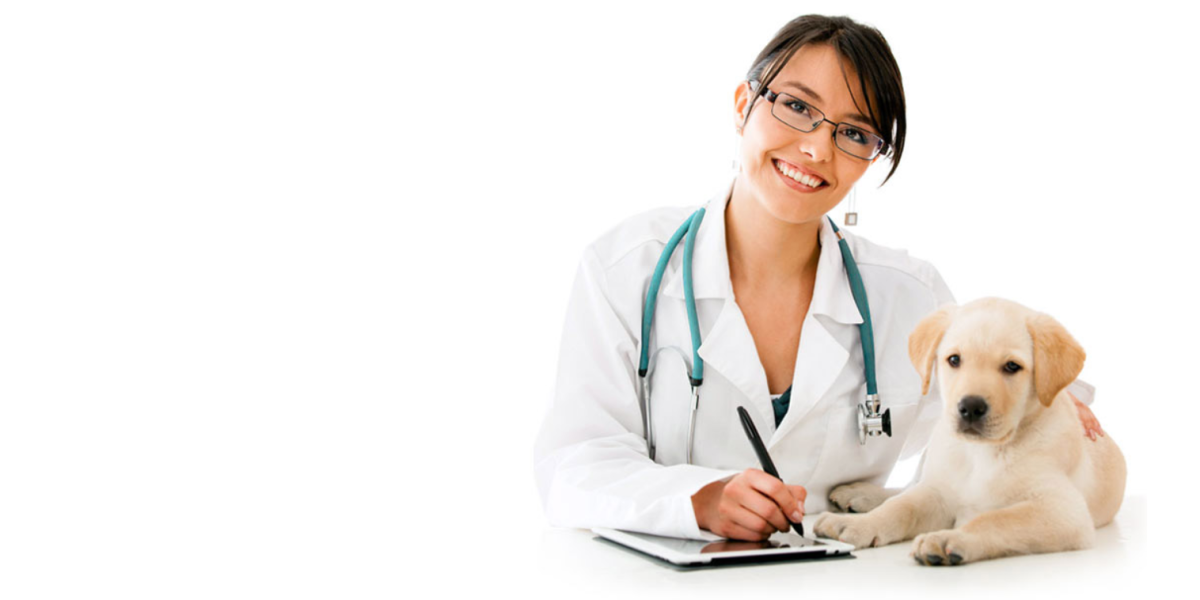 Ветеринарная эмблема