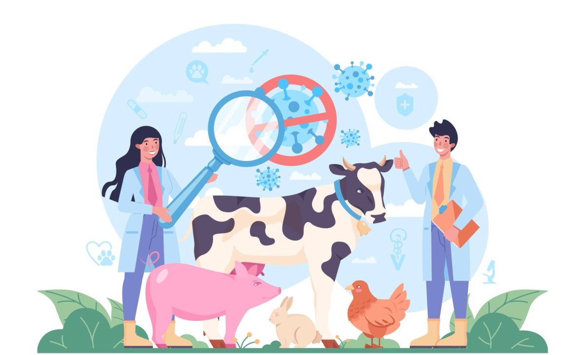 Ветеринарная клиника рисунок