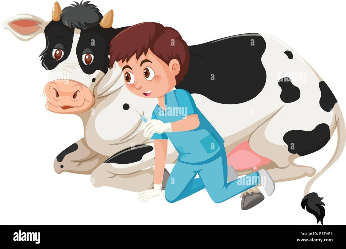 Ветеринар вектор