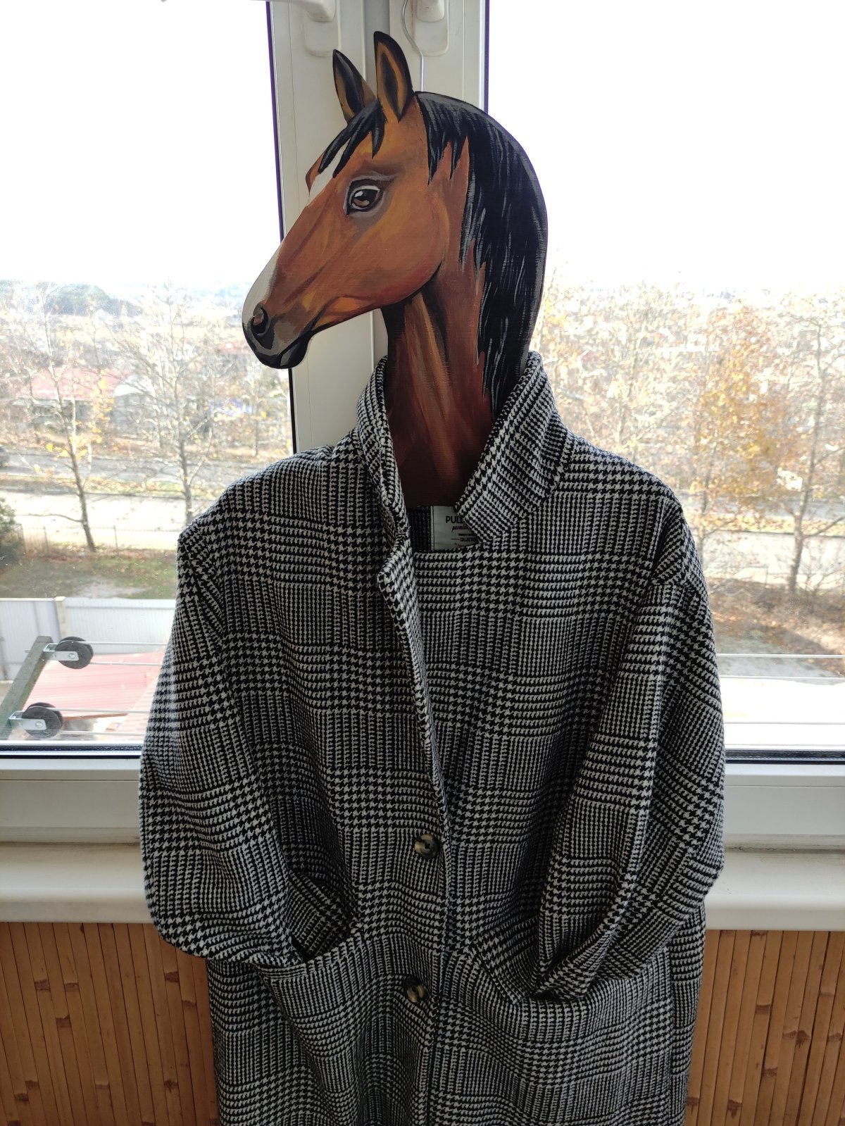 Конь в пальто