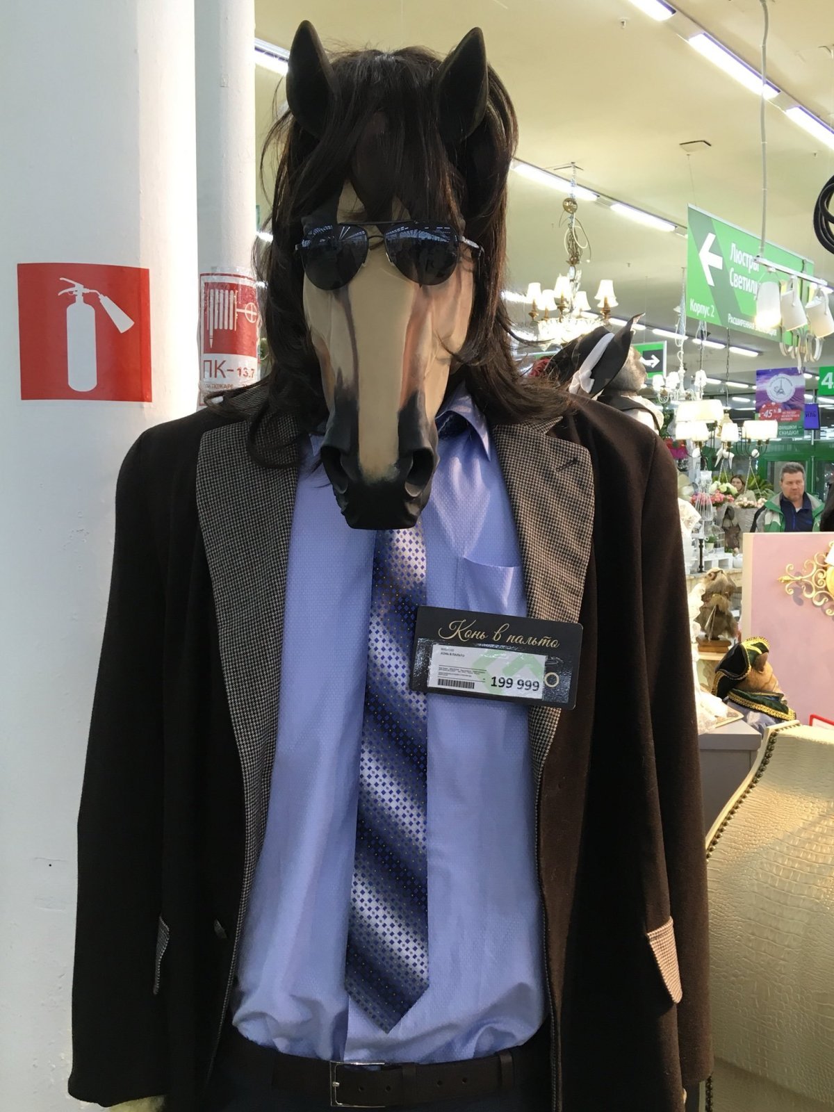 Смешной конь в пальто