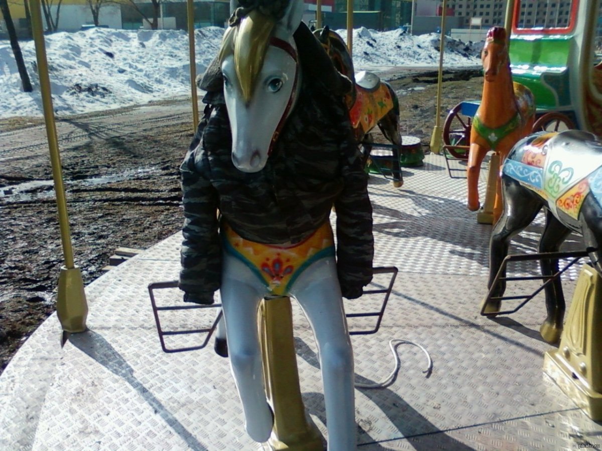 Лошадь в штанах