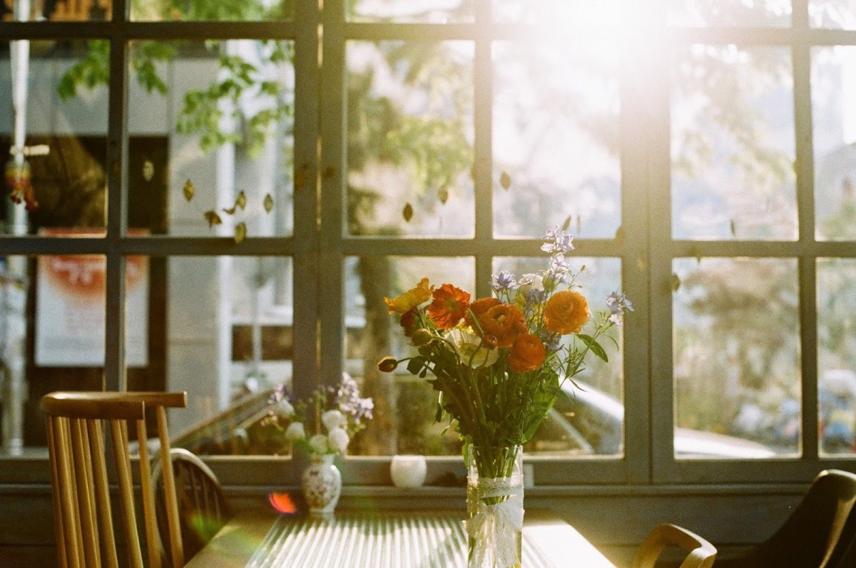 Луч солнца в окне