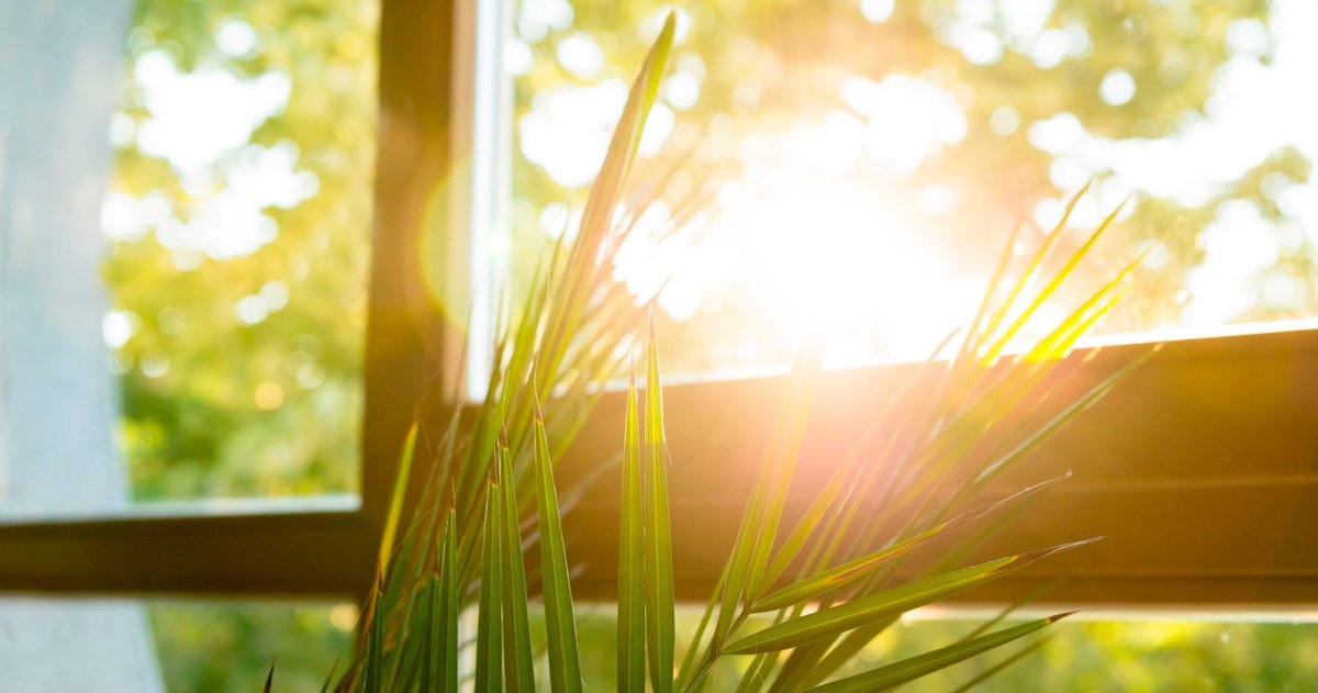 Уютный вид из окна