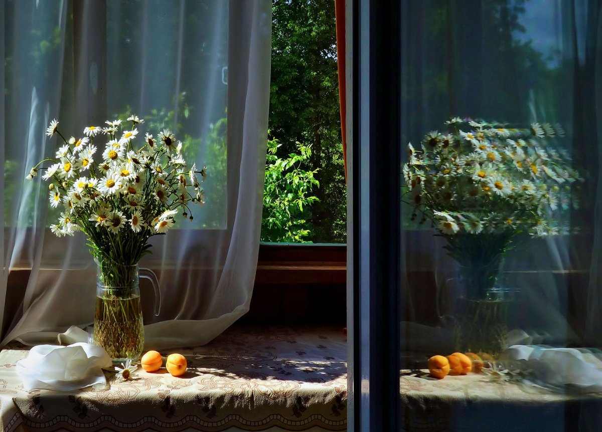 Луч солнца в окне