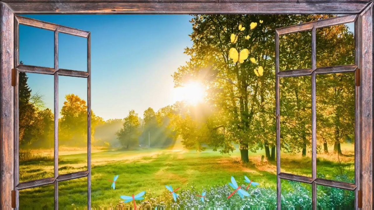 Солнечный свет в окно