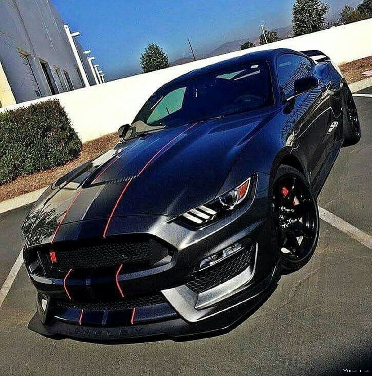 Ford Mustang Shelby gt350r