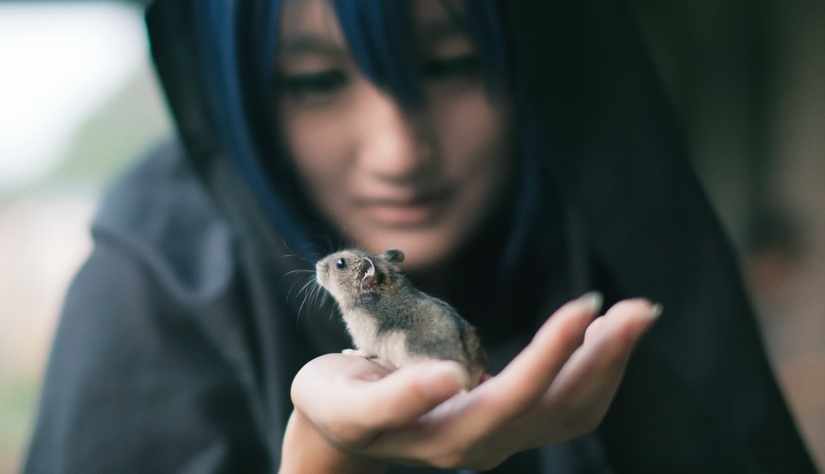 Крыска девочка