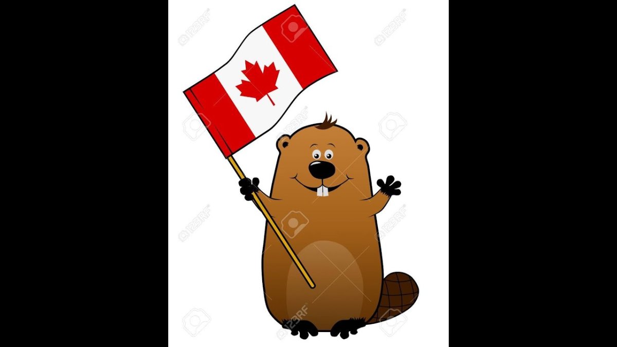 Красный флаг в руке