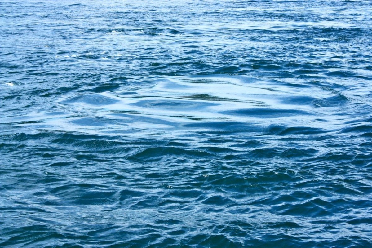 Анимированное море