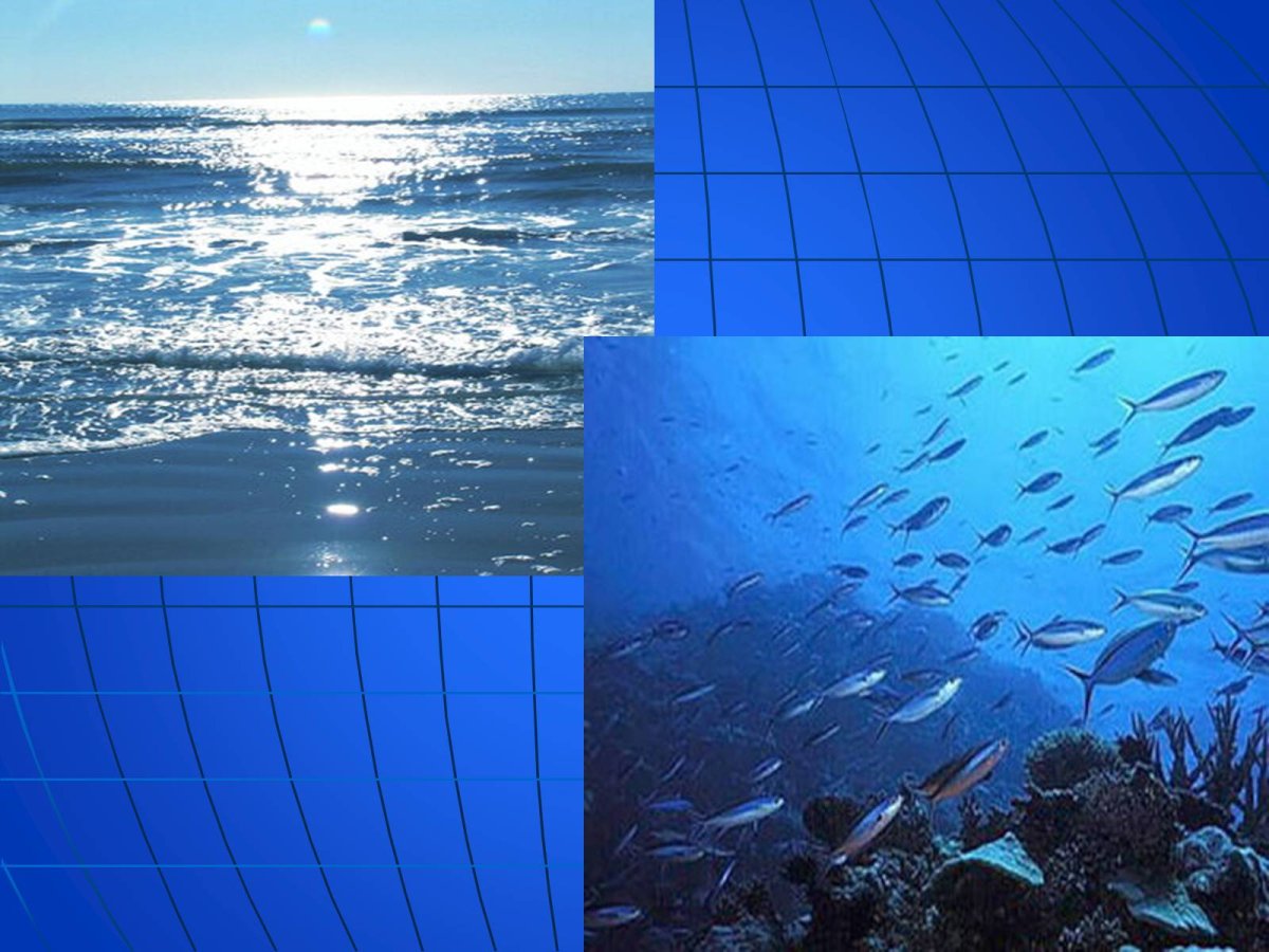 Морская гладь