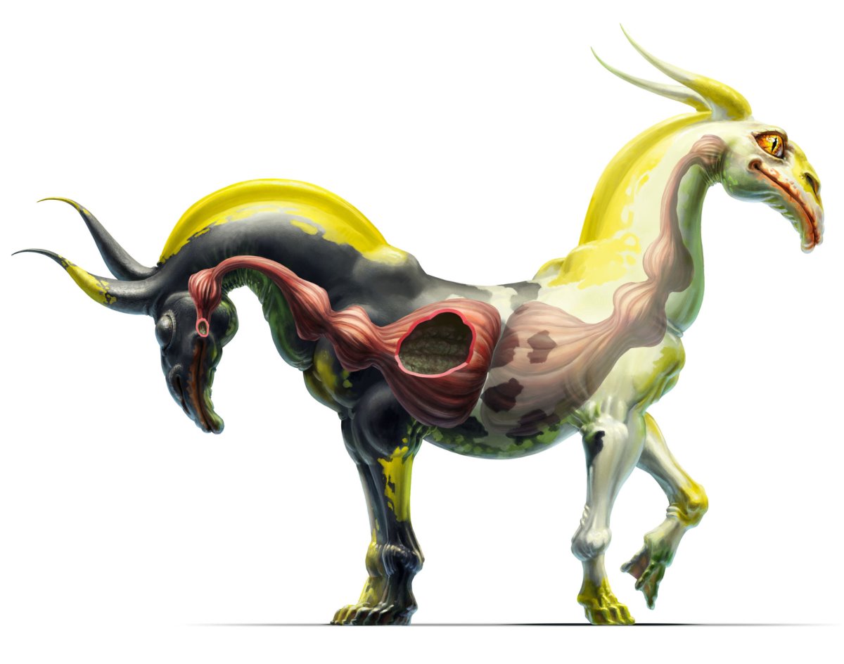 Существо Тяни Толкай