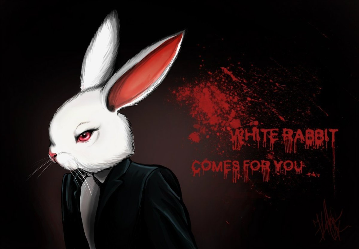 Зайка на черном фоне