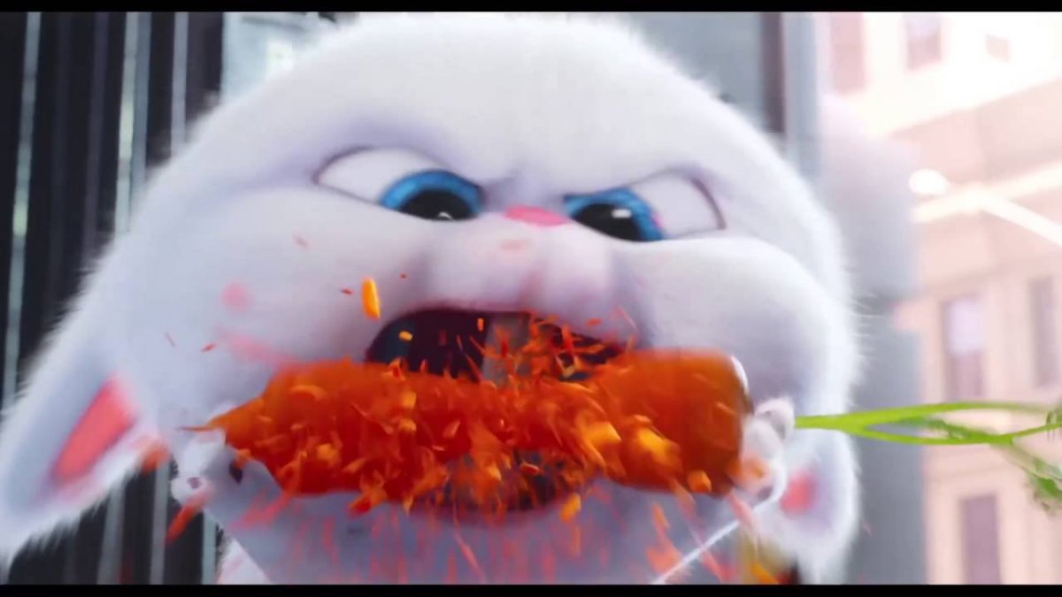 Тайная жизнь домашних животных кролик снежок