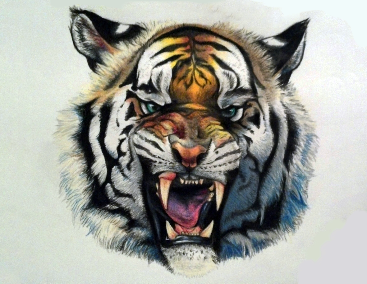 Тигр крутой арт