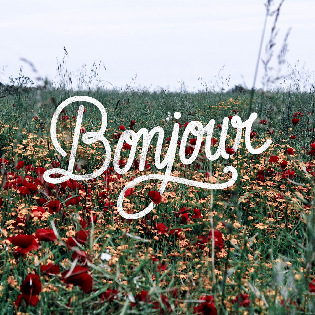 Bonjour леттеринг