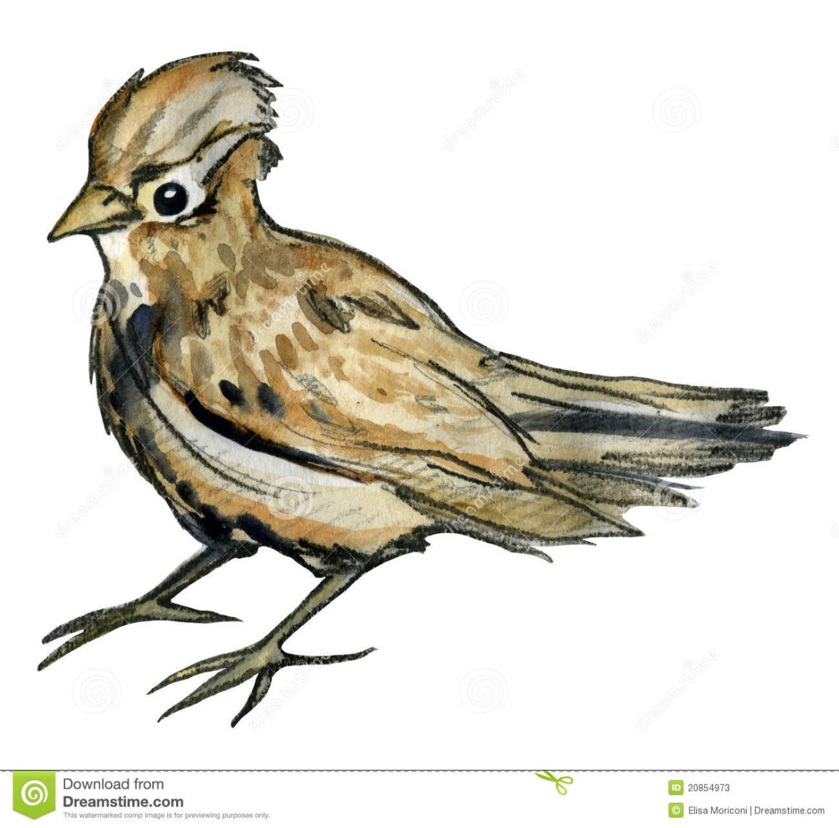 Жаворонки мультяшные