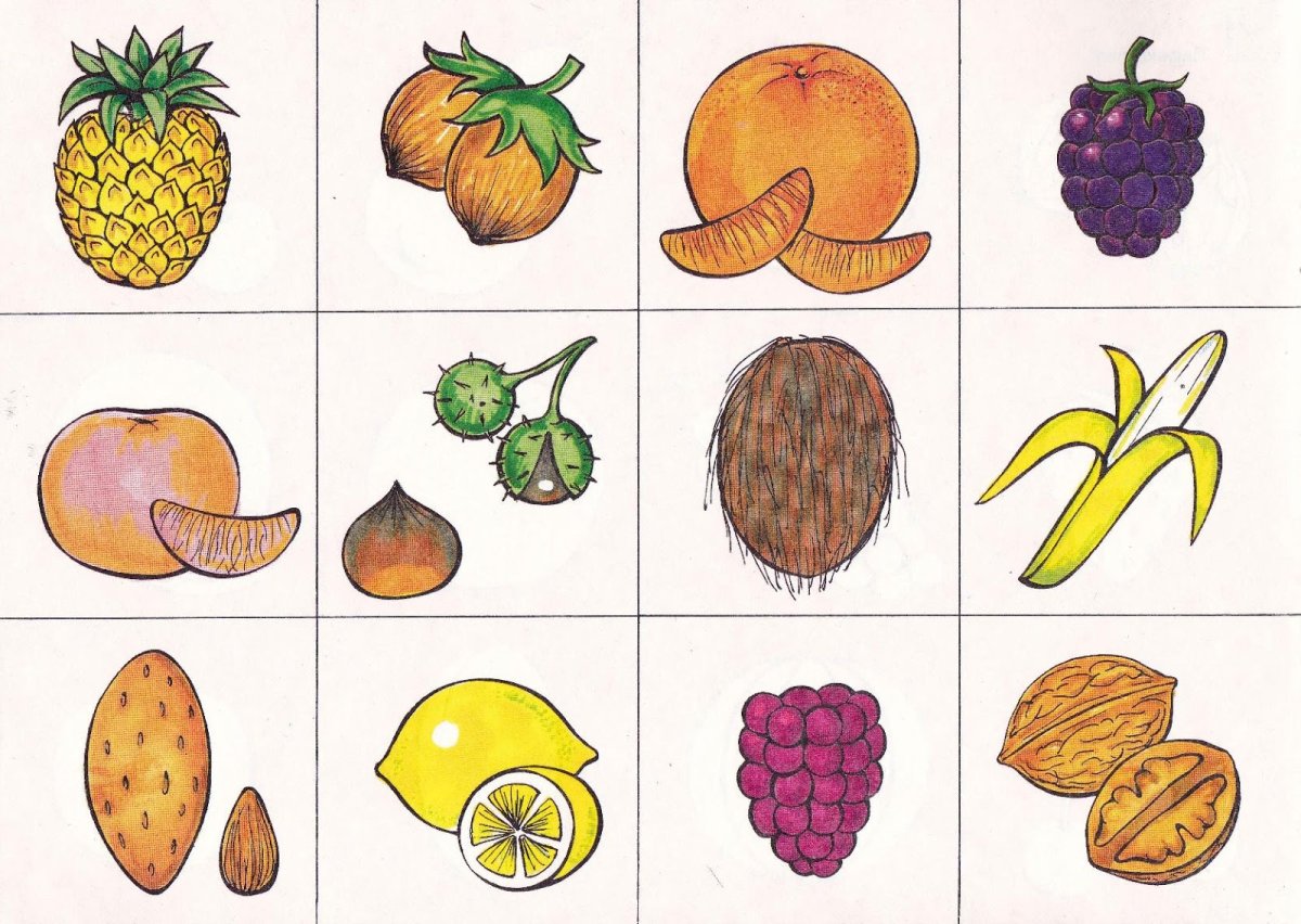 Овощи и фрукты иконка