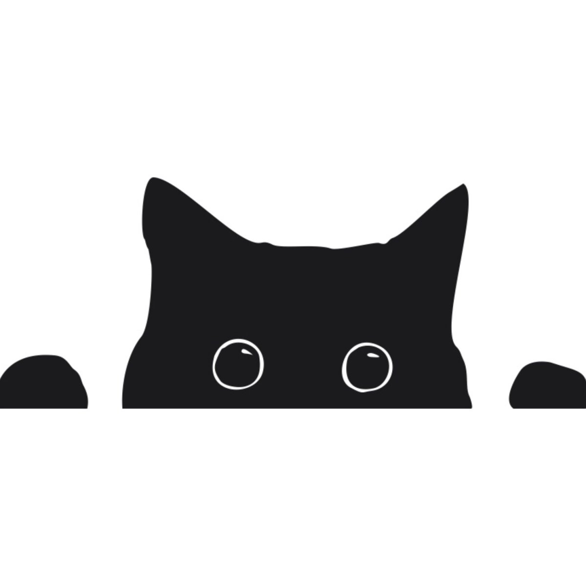 Кот выглядывает