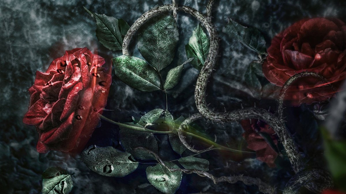 Роза с шипами