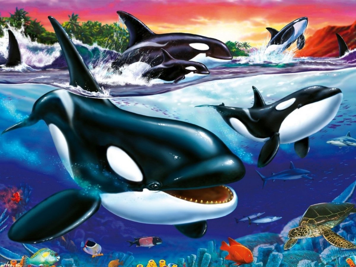 Картина Касатка