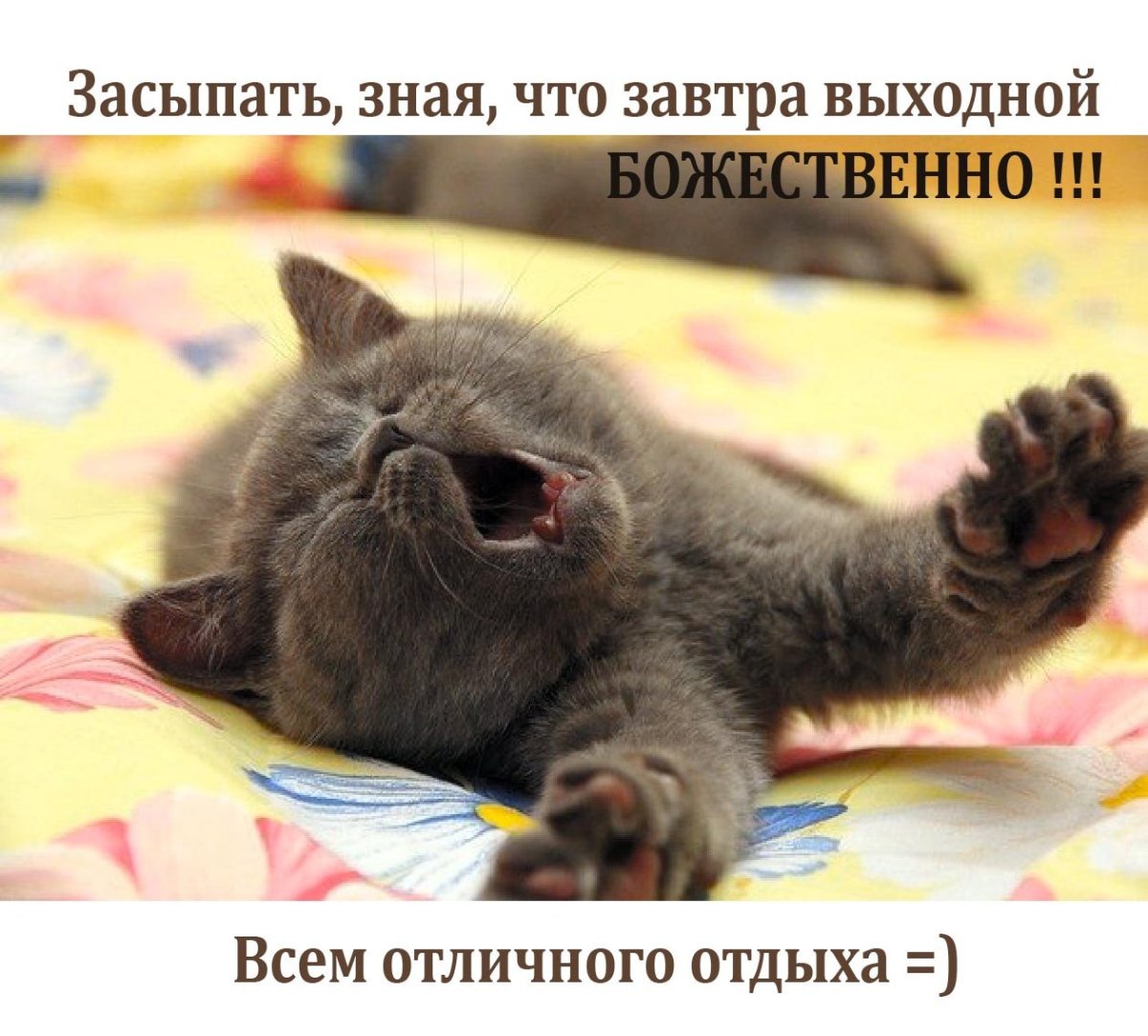 Проснулись УЛЫБНУЛИСЬ