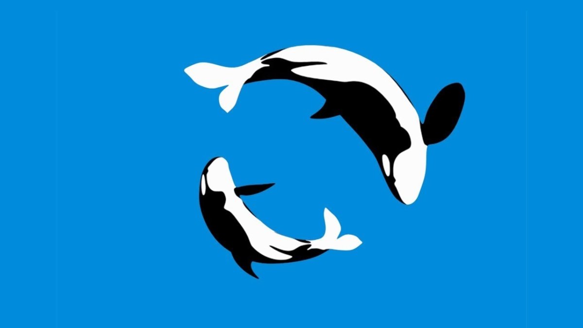 Касатка арт