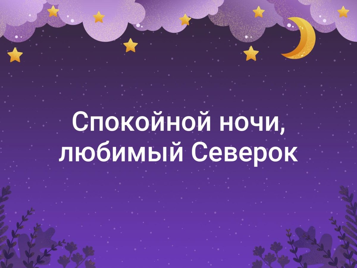 Спокойной ночи незабудки