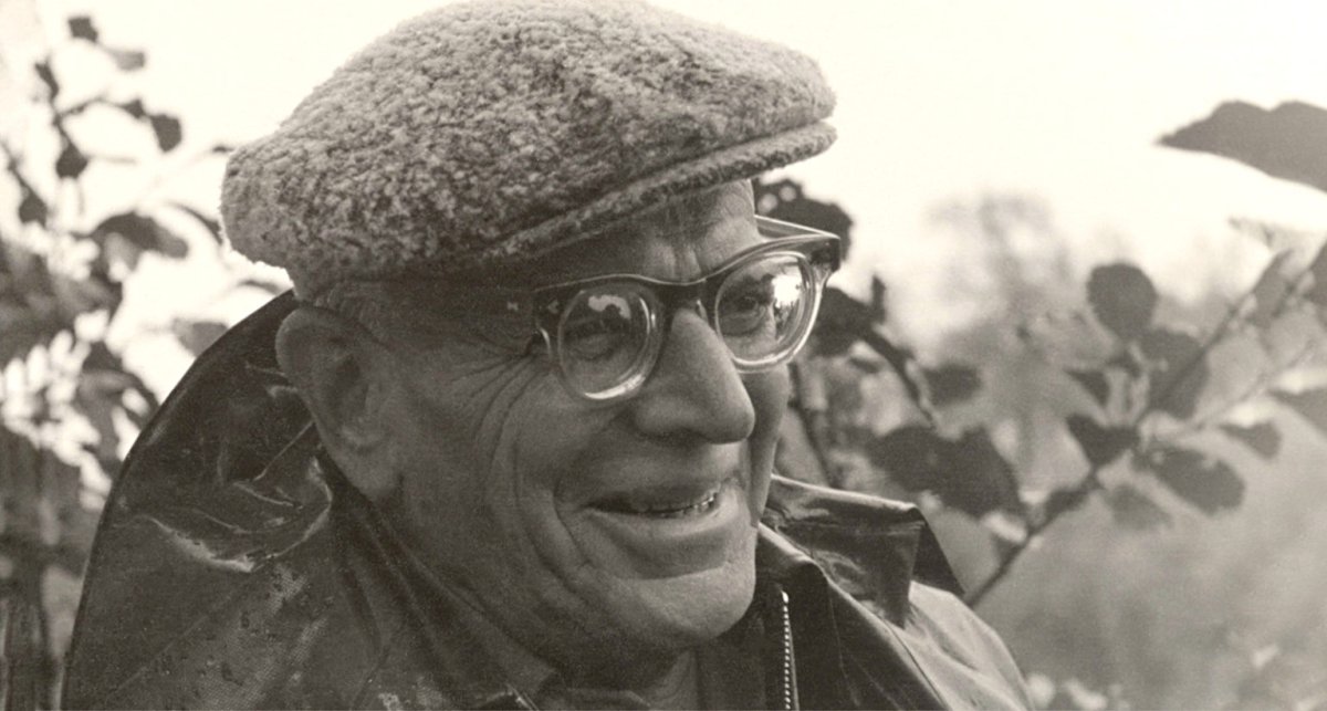 Паустовский корзина с еловыми шишками