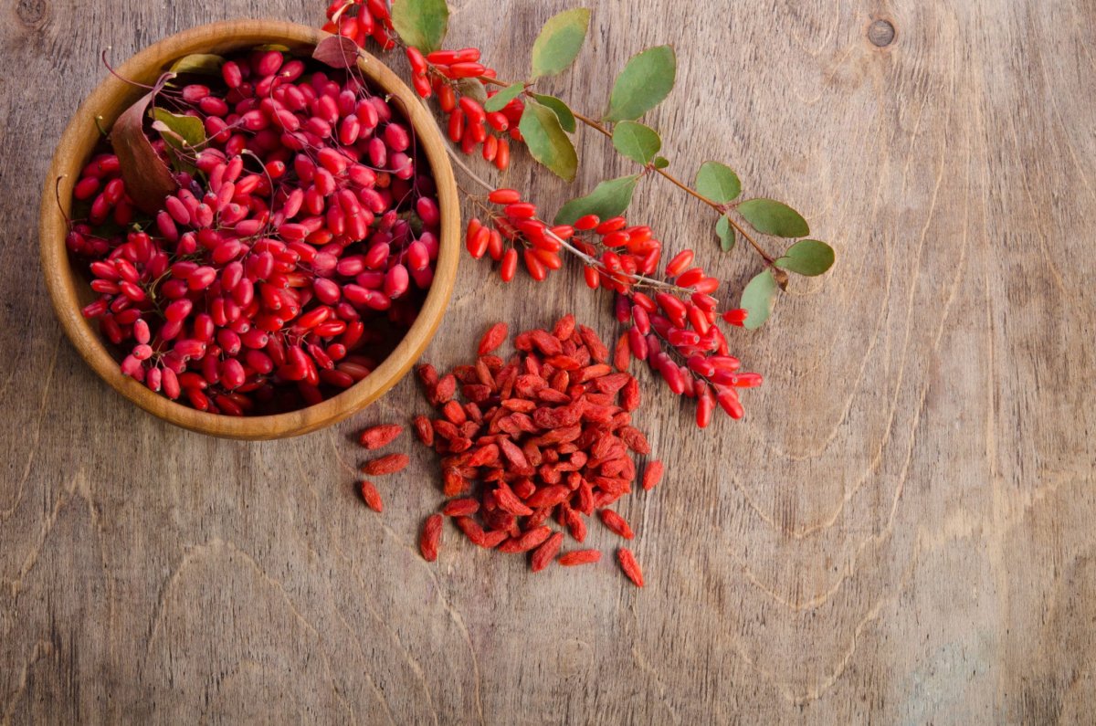 Барбарис ягоды суперфуд