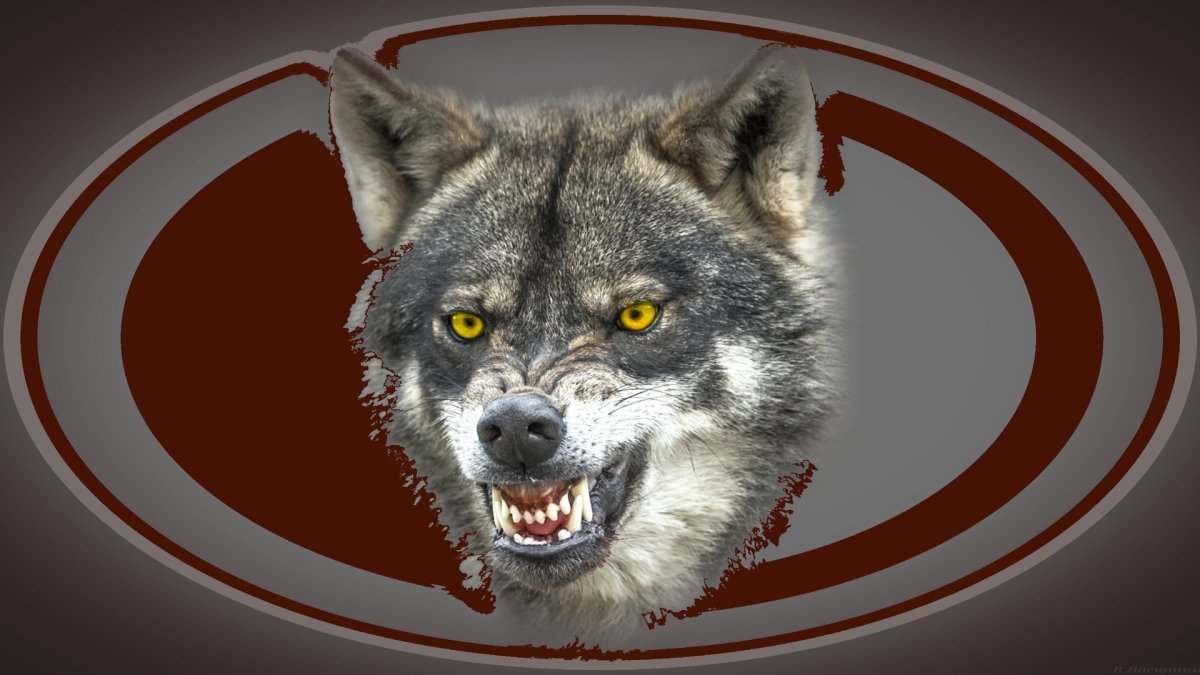 Волк Альберт