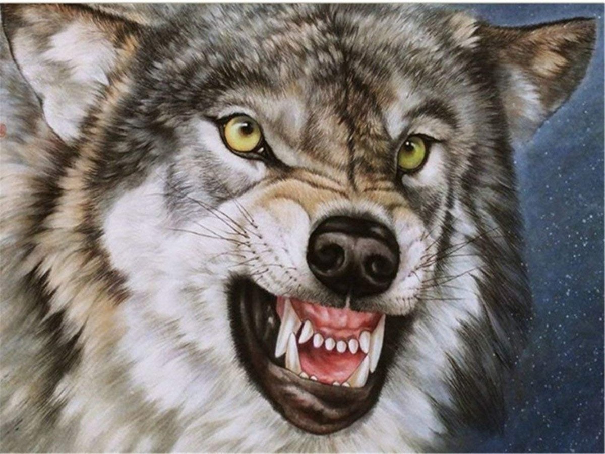 Волк скалит зубы