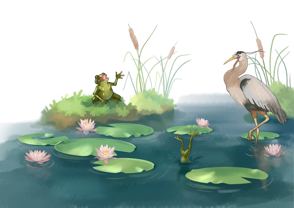 Пруд иллюстрация