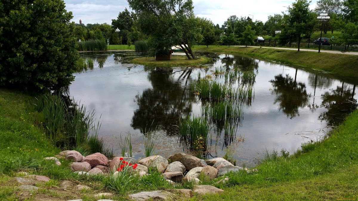 Искусственный водоем