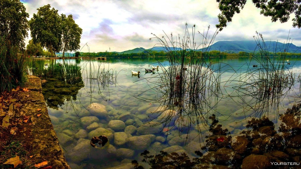 Пейзаж с водой