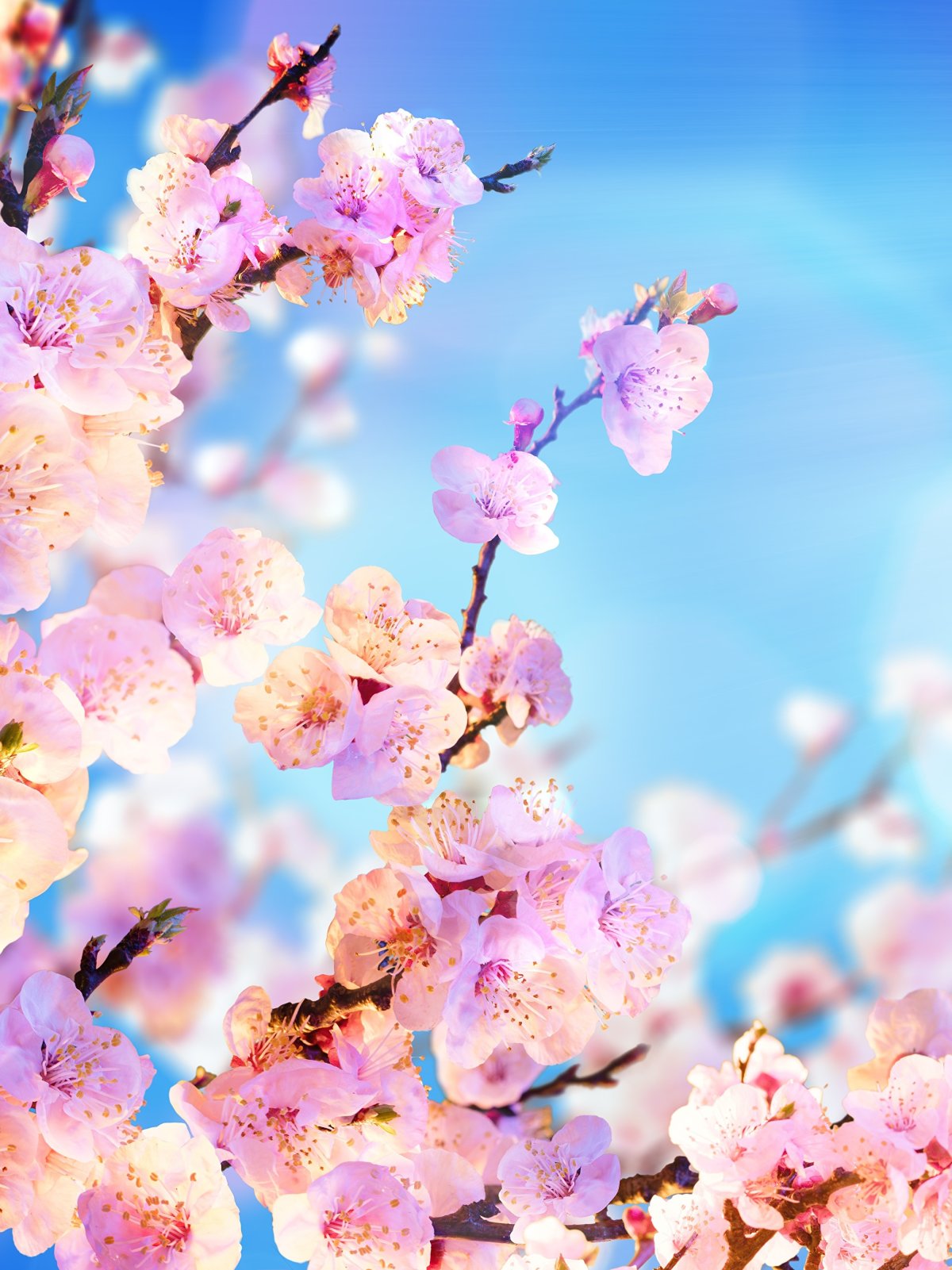 Весна на айфон