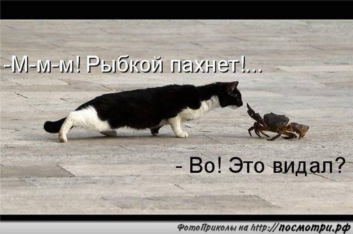 Любопытные люди цитаты