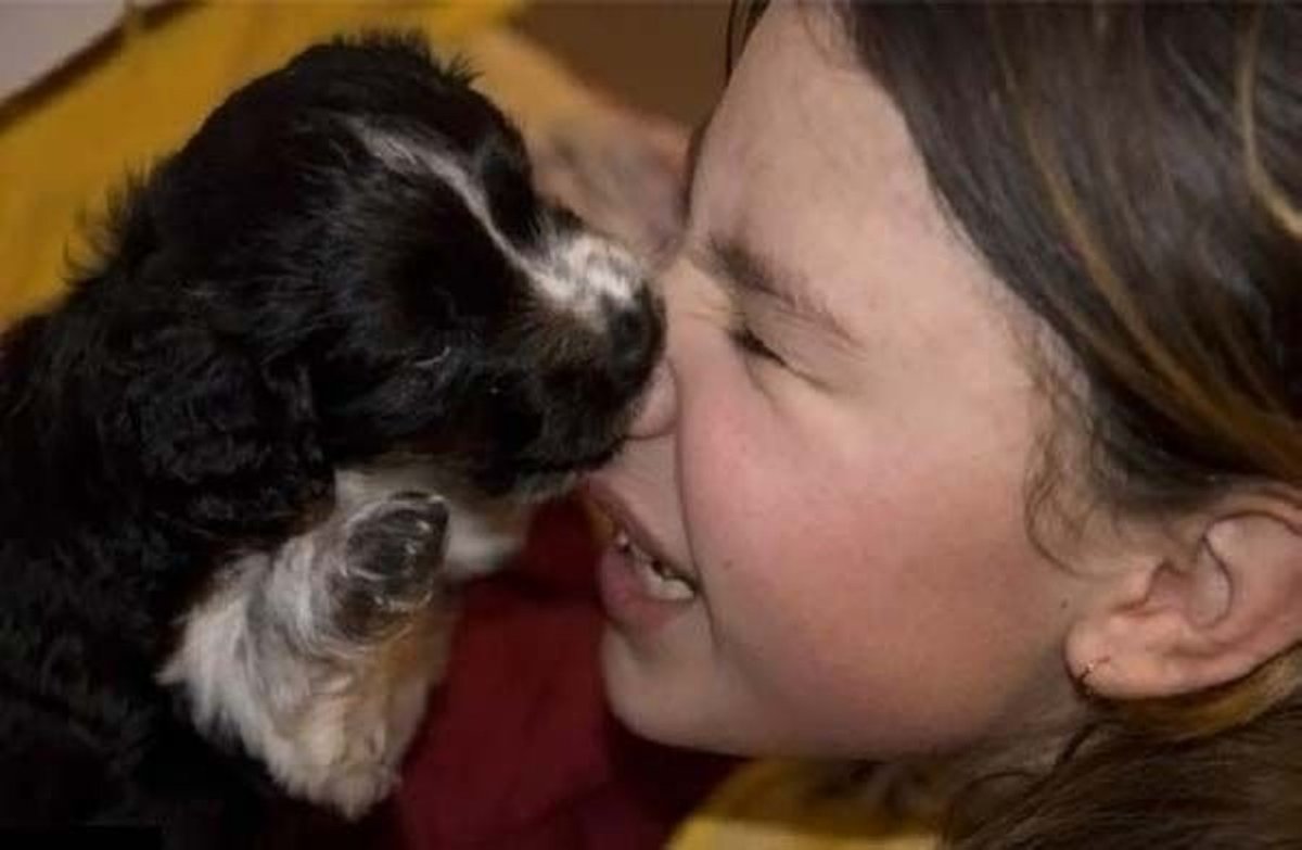 Любопытная Варвара нос оторвали