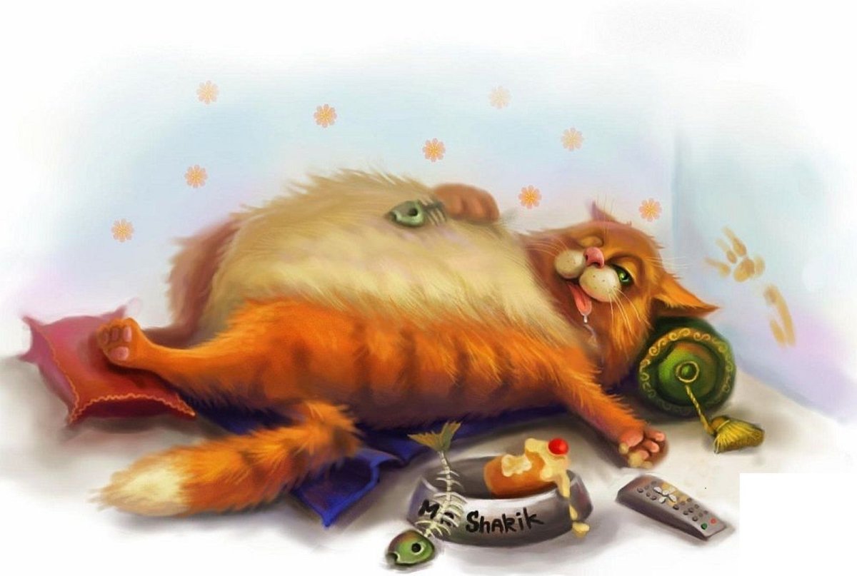 Фидеризм раскармливание аниме