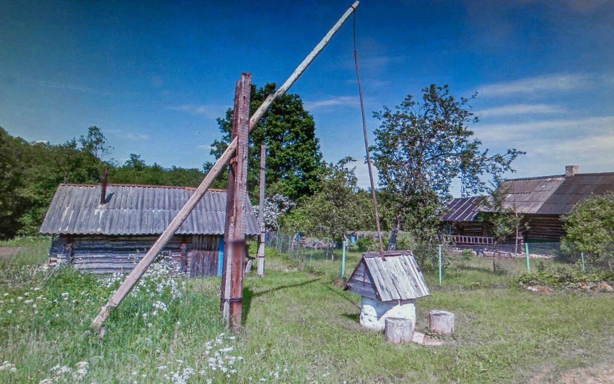 Деревенский колодец с гусаком