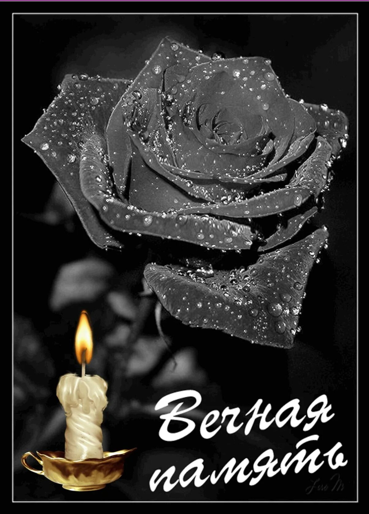 Светлая память