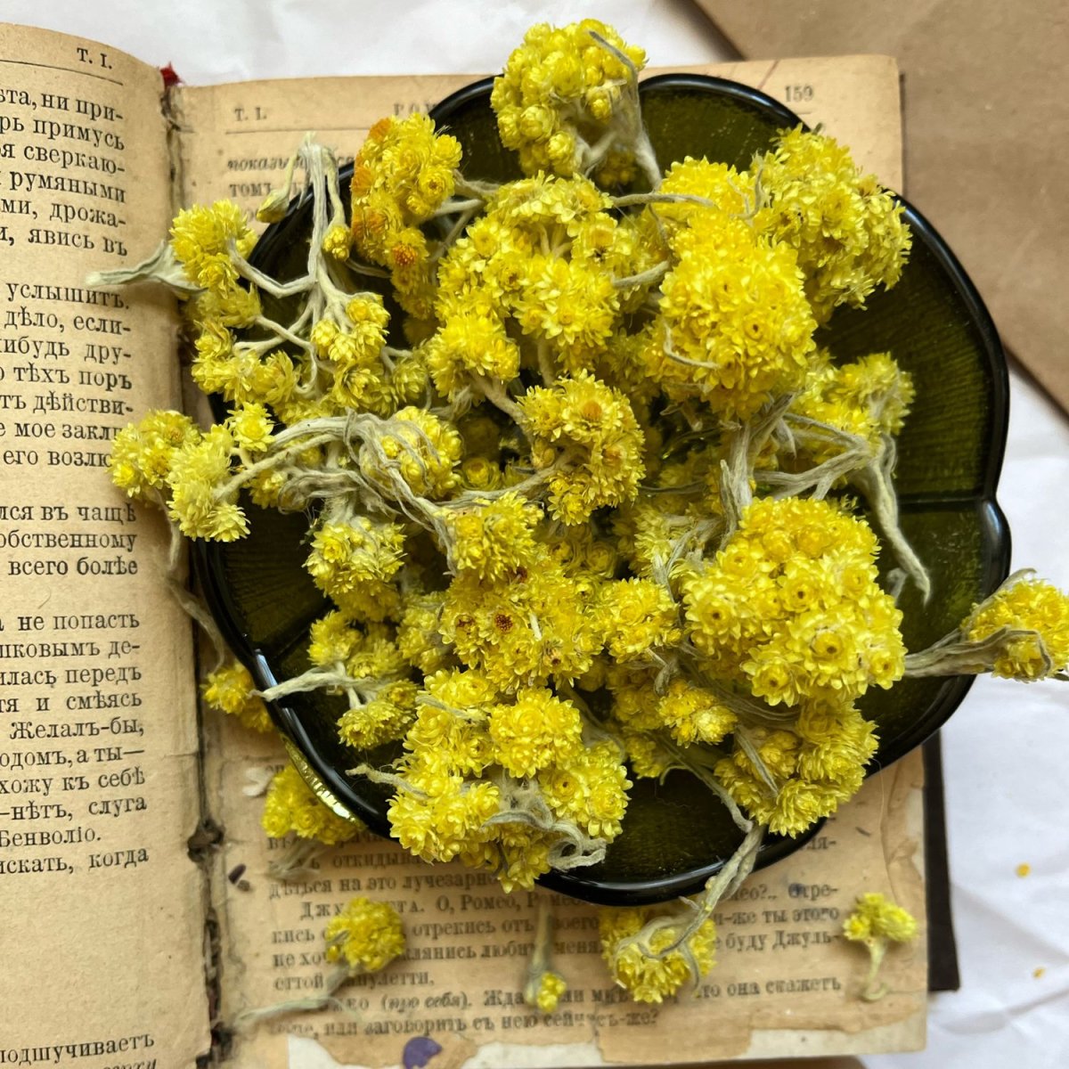 Медоносные растения Иммортель