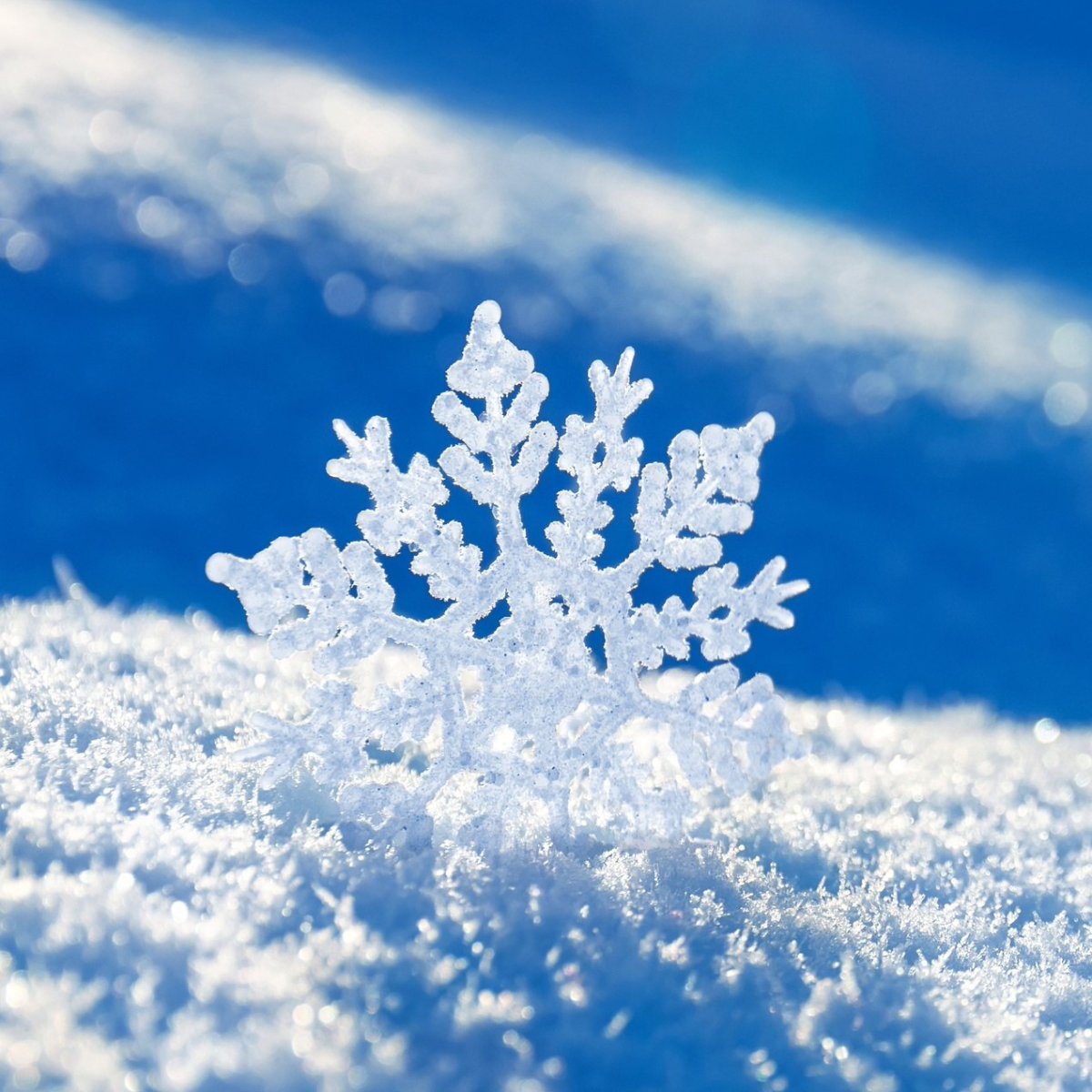 Доброе Снежное утро