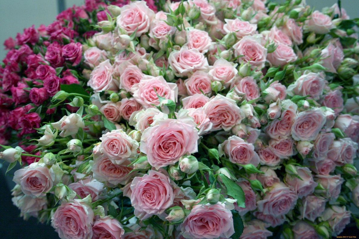 Красивая охапка цветов