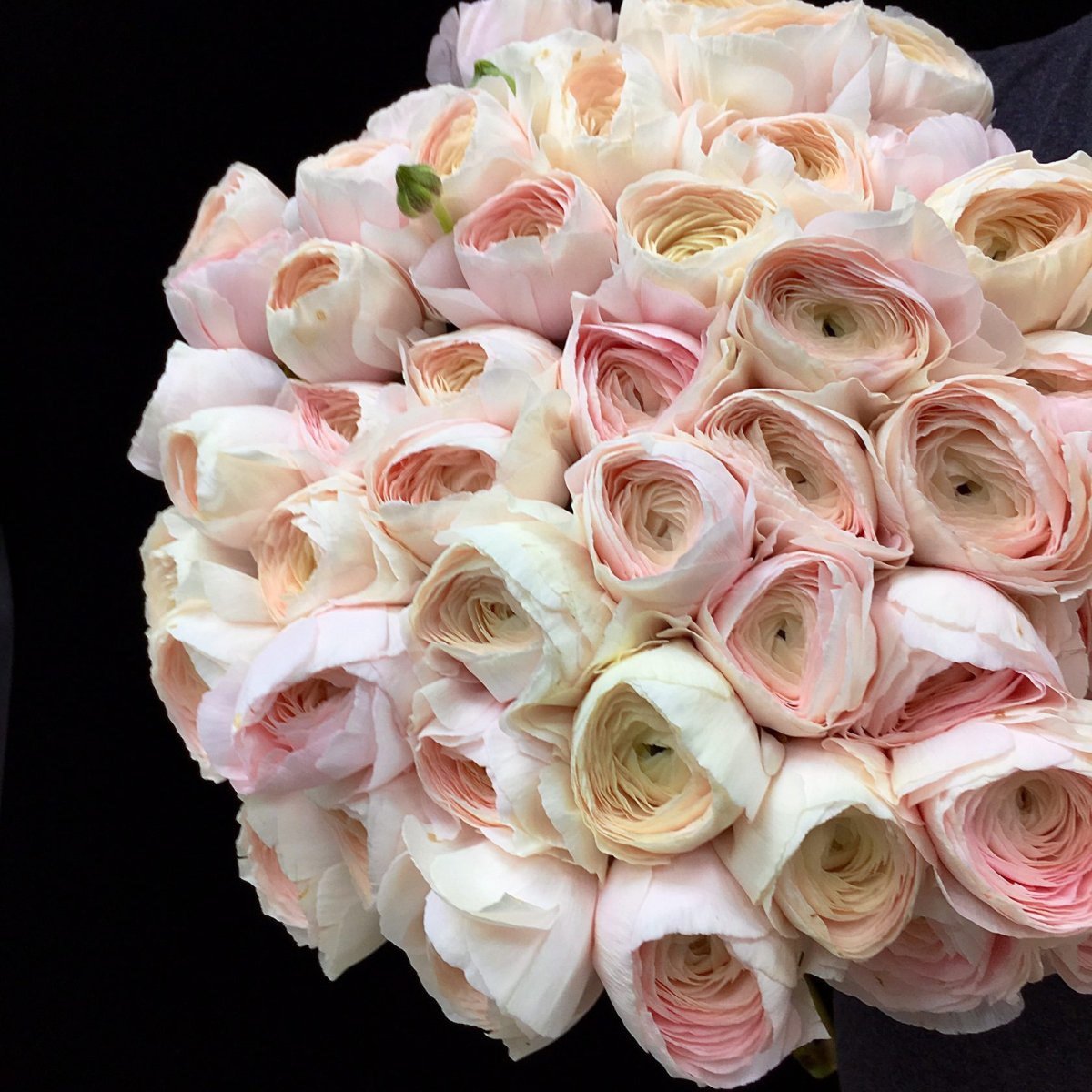 Букет роз в охапку