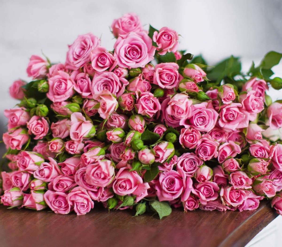 Роза кустовая Lianne